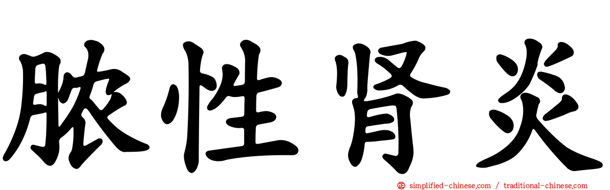 脓性肾炎