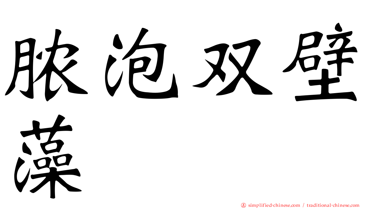脓泡双壁藻