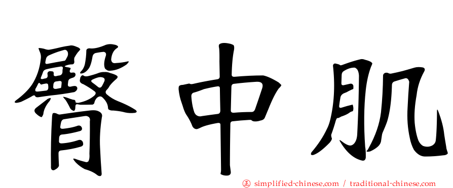 臀中肌