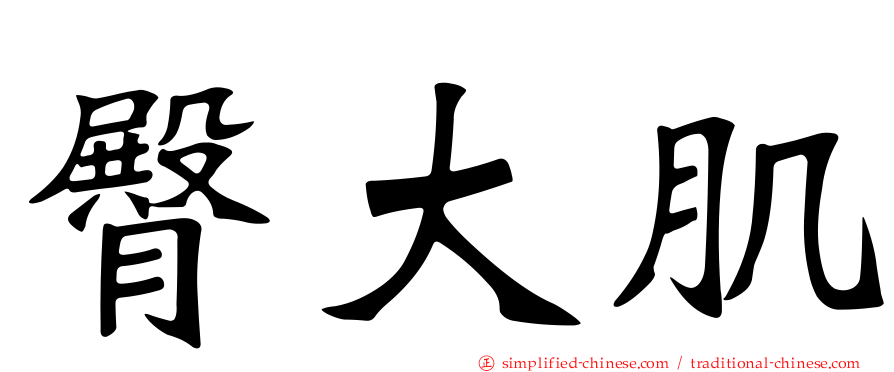 臀大肌
