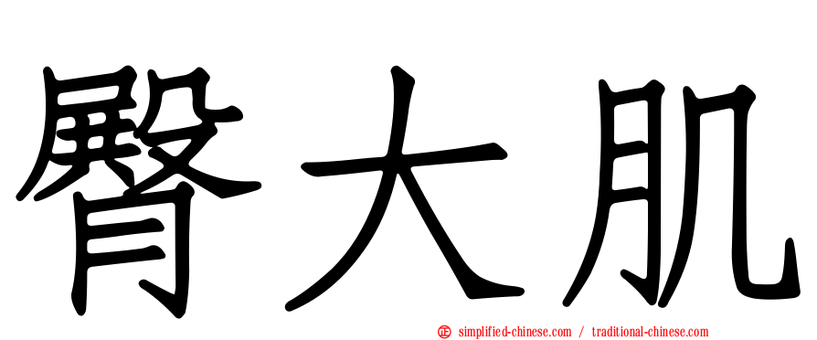 臀大肌