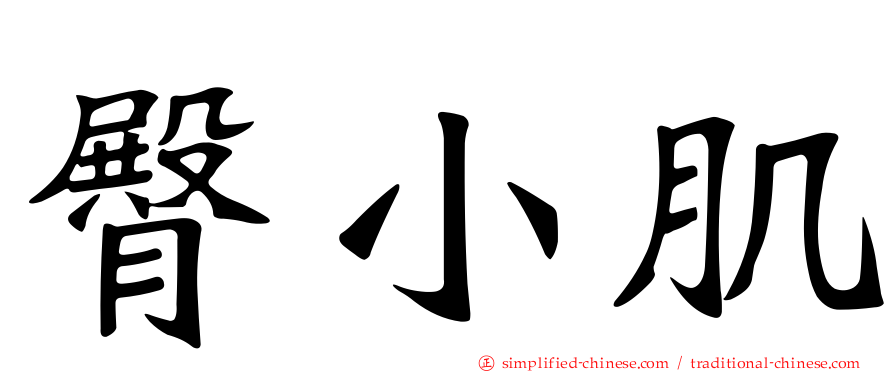 臀小肌