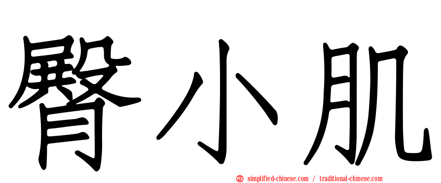 臀小肌