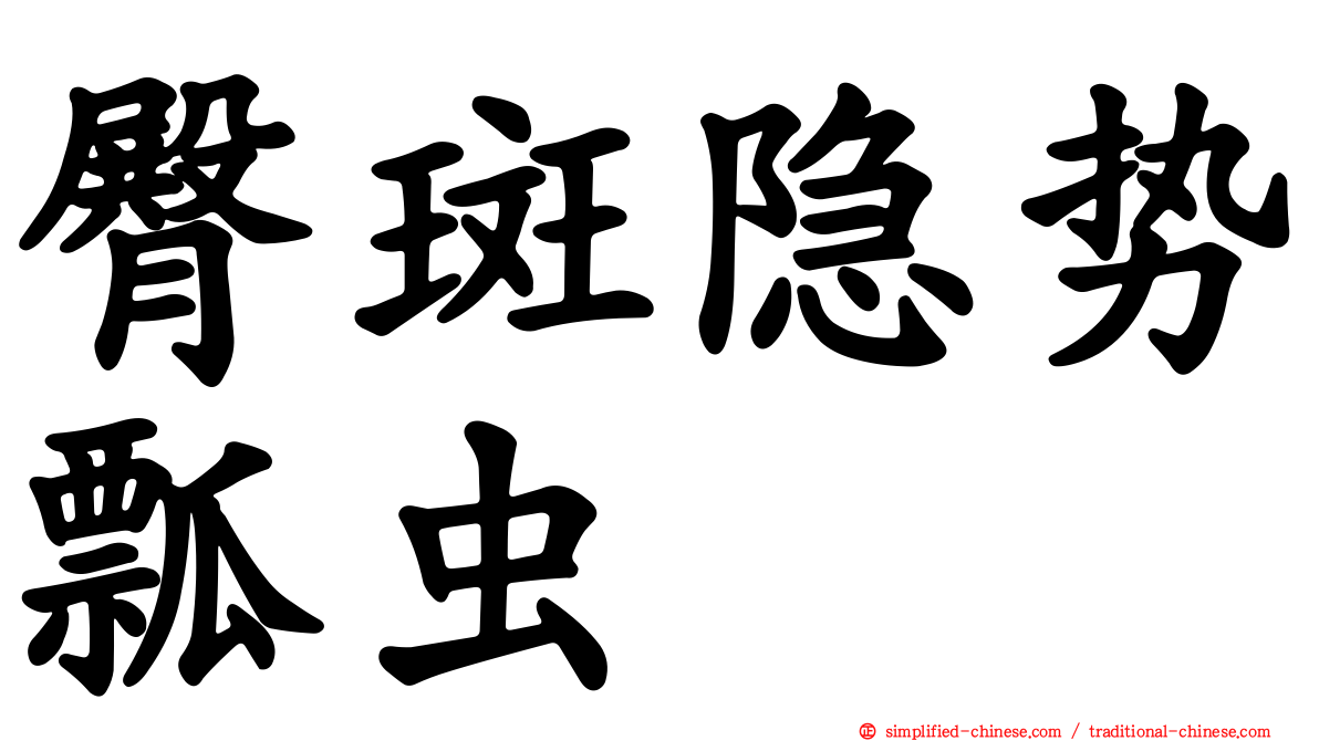 臀斑隐势瓢虫