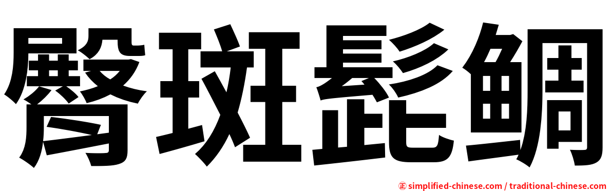 臀斑髭鲷