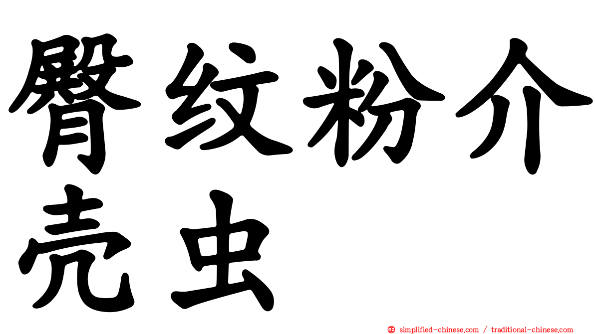 臀纹粉介壳虫