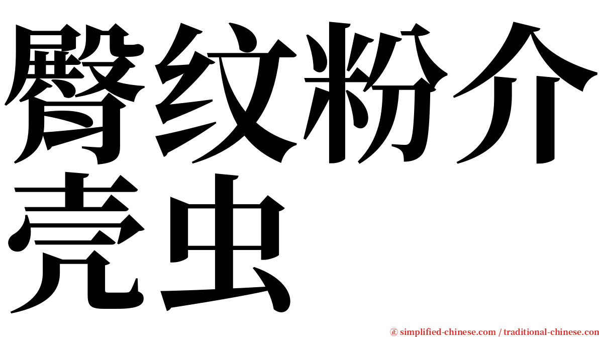 臀纹粉介壳虫 serif font