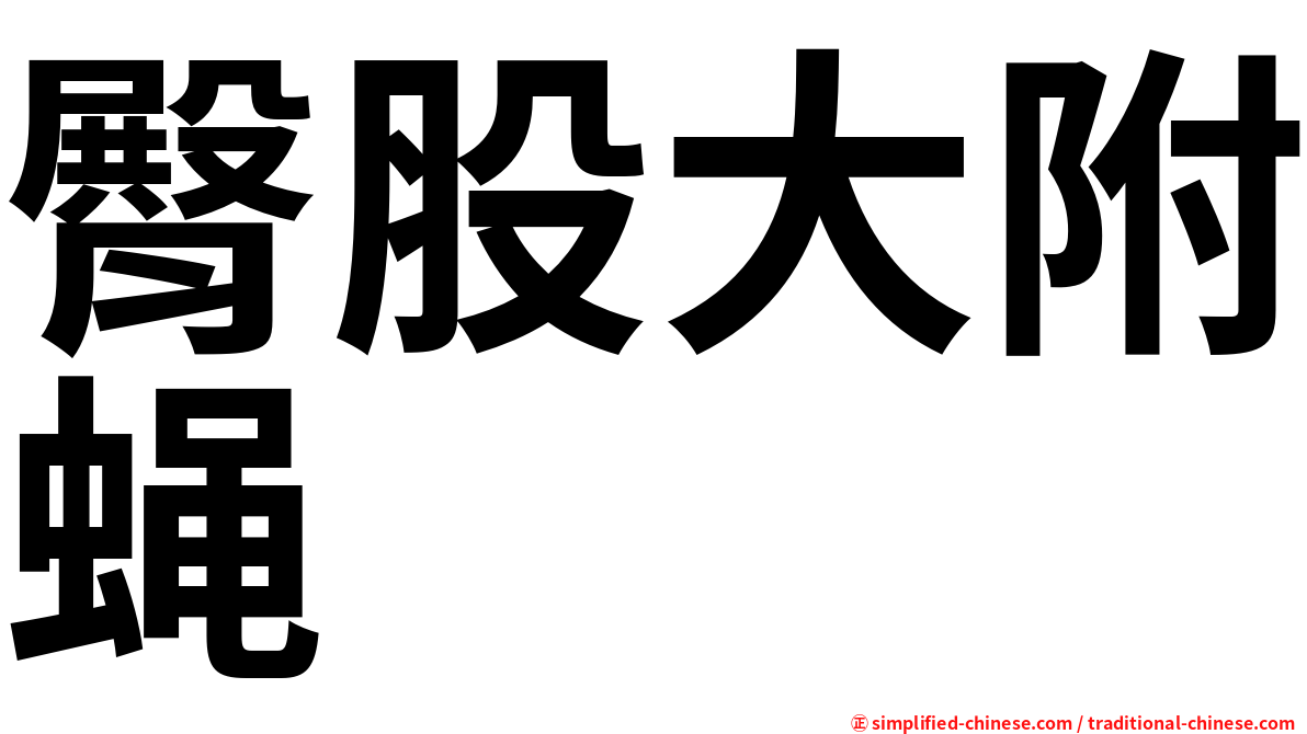 臀股大附蝇