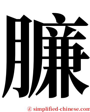 臁 serif font