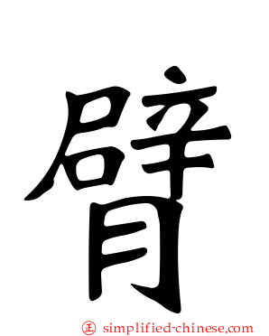臂