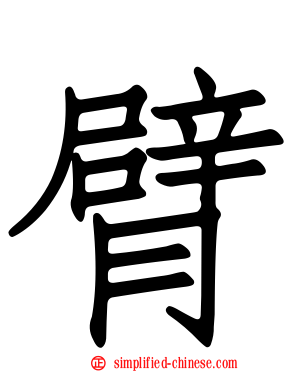 臂