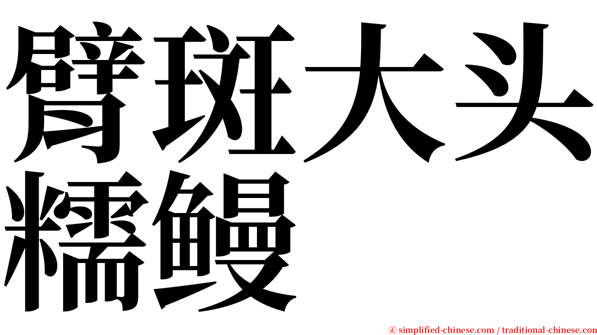 臂斑大头糯鳗 serif font