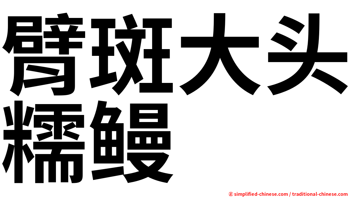 臂斑大头糯鳗