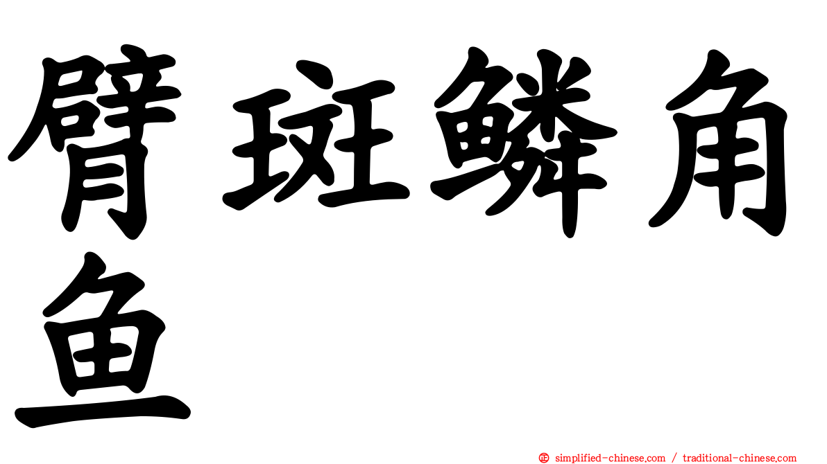 臂斑鳞角鱼