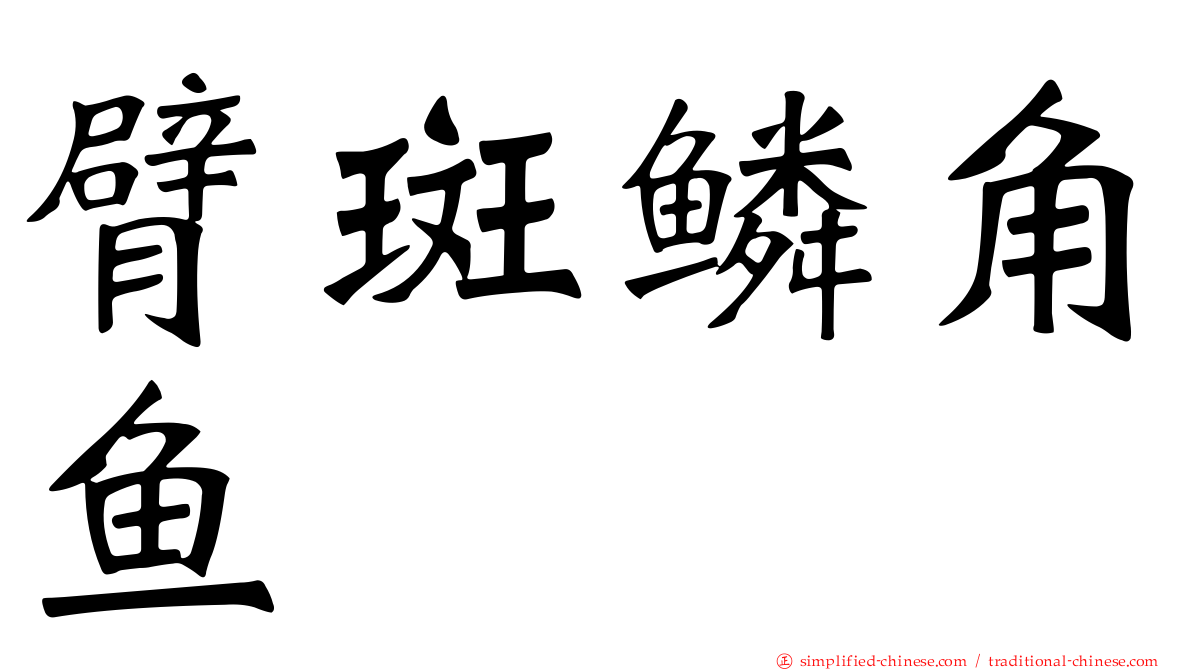 臂斑鳞角鱼