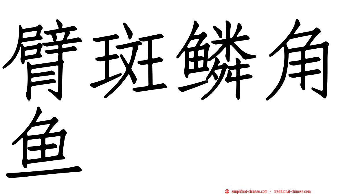 臂斑鳞角鱼