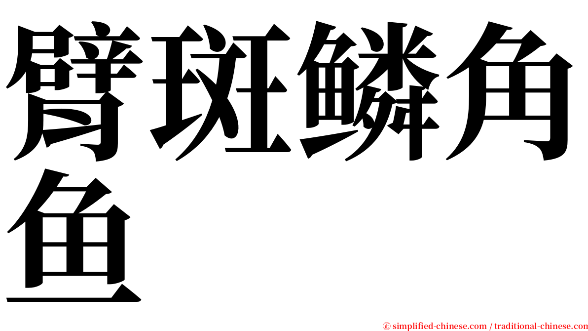 臂斑鳞角鱼 serif font