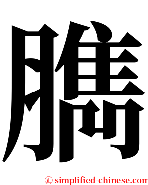 臇 serif font