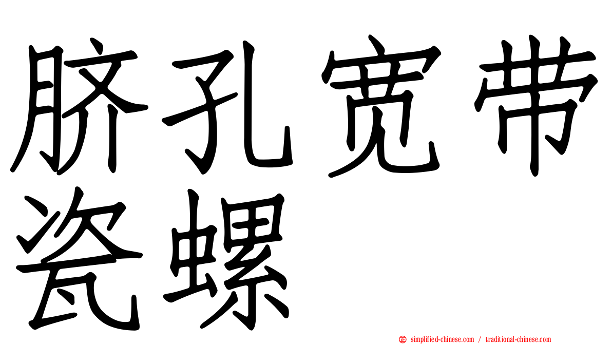 脐孔宽带瓷螺