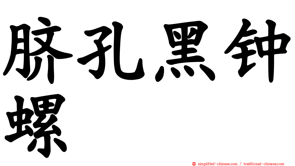 脐孔黑钟螺