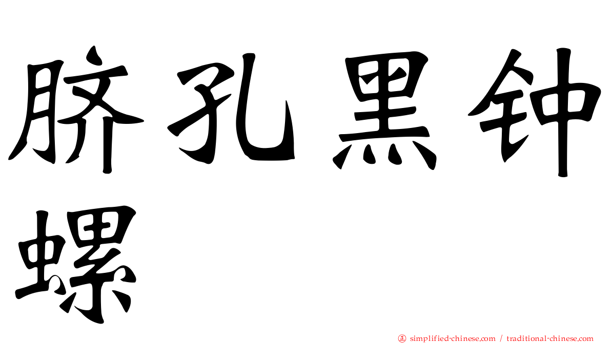 脐孔黑钟螺