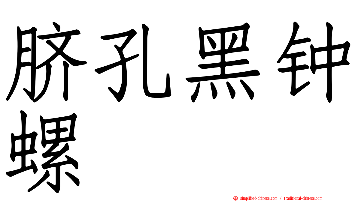 脐孔黑钟螺
