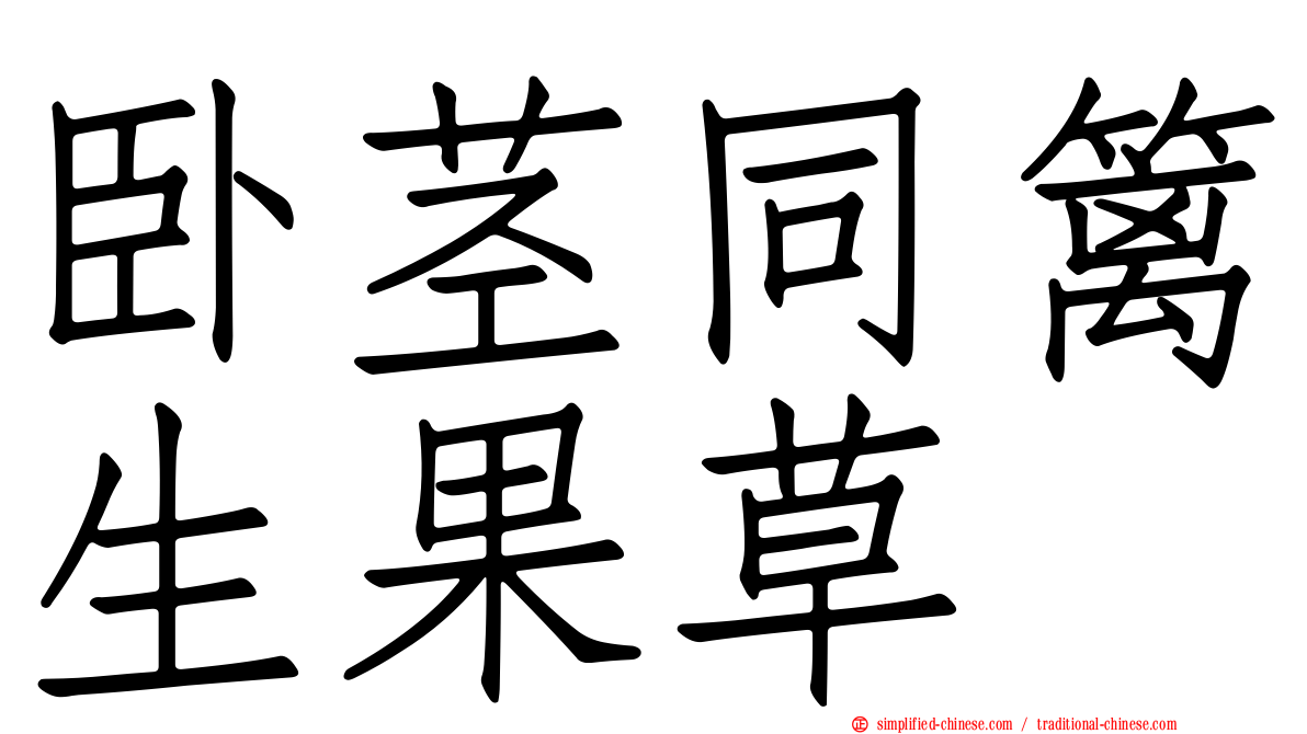 卧茎同篱生果草