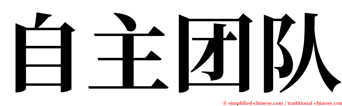 自主团队 serif font