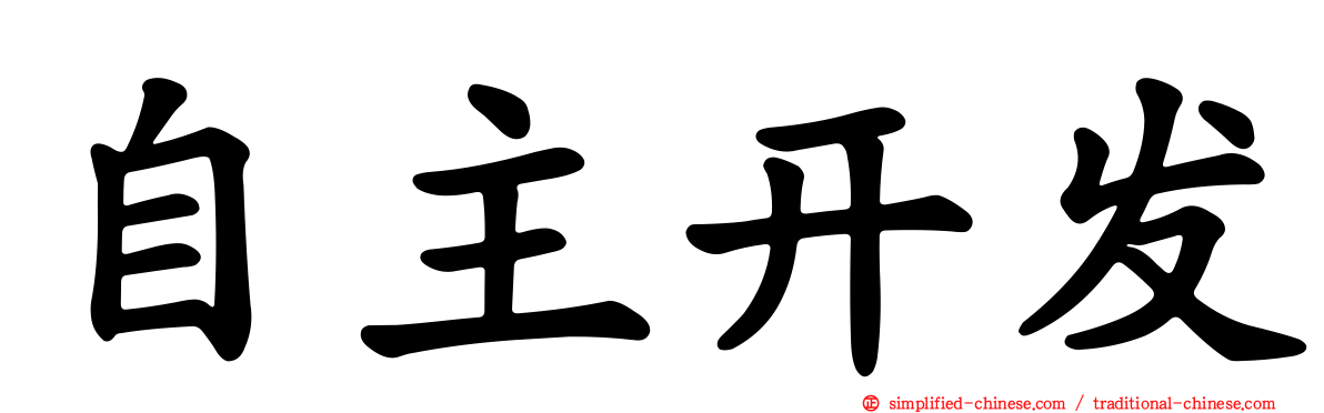 自主开发