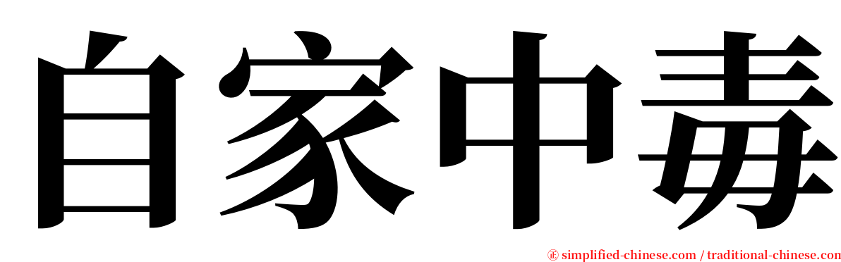 自家中毒 serif font