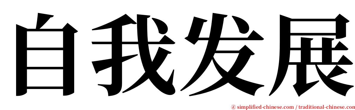 自我发展 serif font