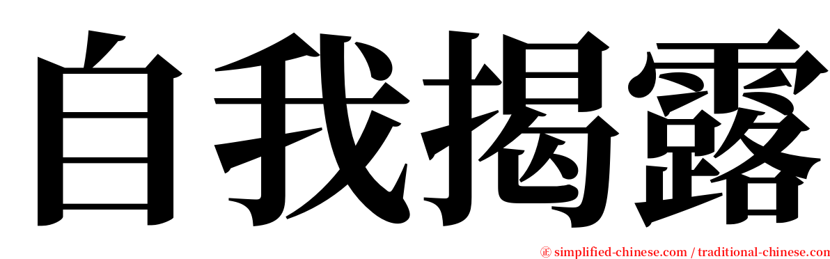 自我揭露 serif font