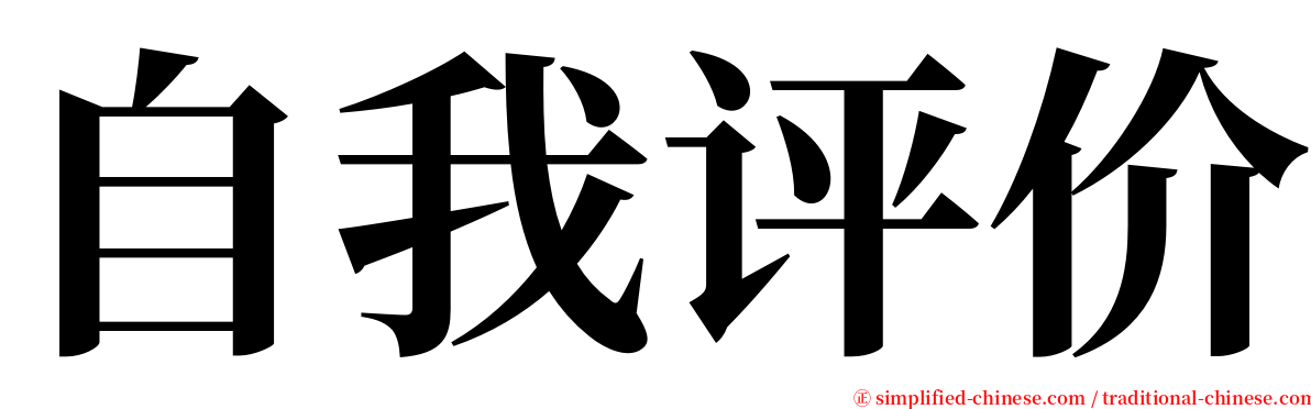 自我评价 serif font