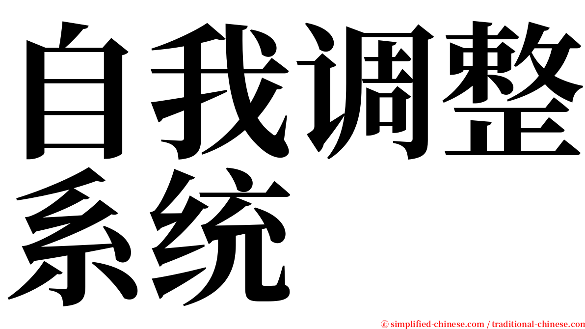 自我调整系统 serif font