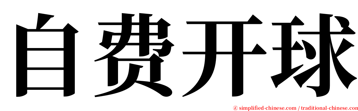 自费开球 serif font