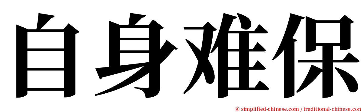 自身难保 serif font