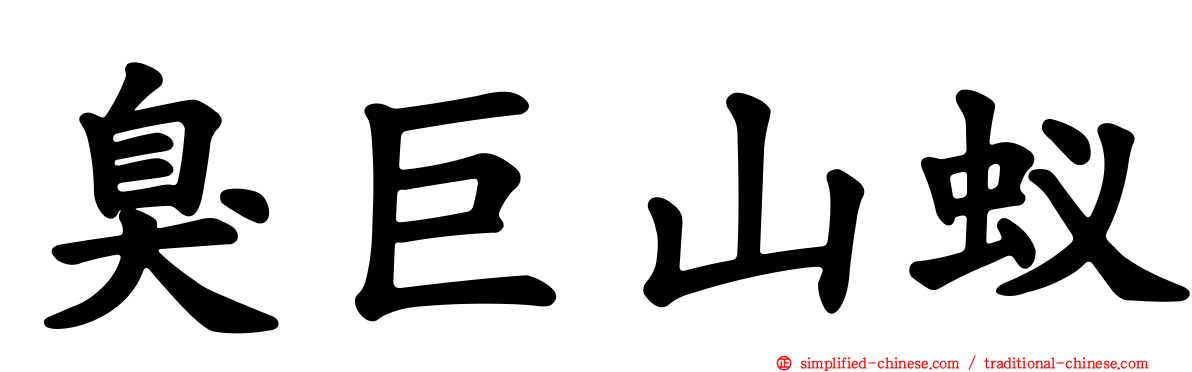 臭巨山蚁