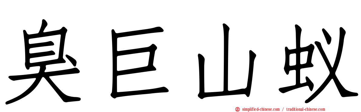 臭巨山蚁