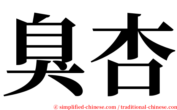 臭杏 serif font
