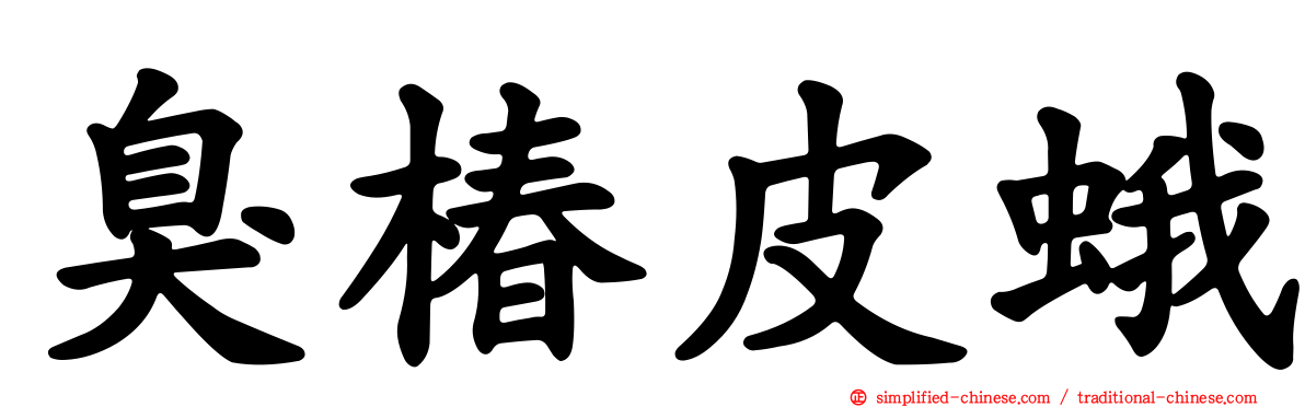 臭椿皮蛾