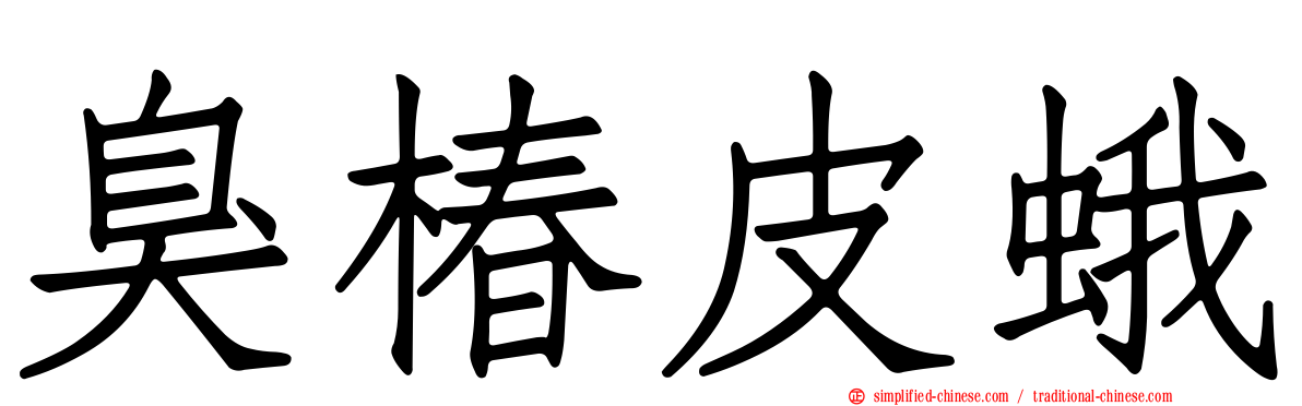 臭椿皮蛾