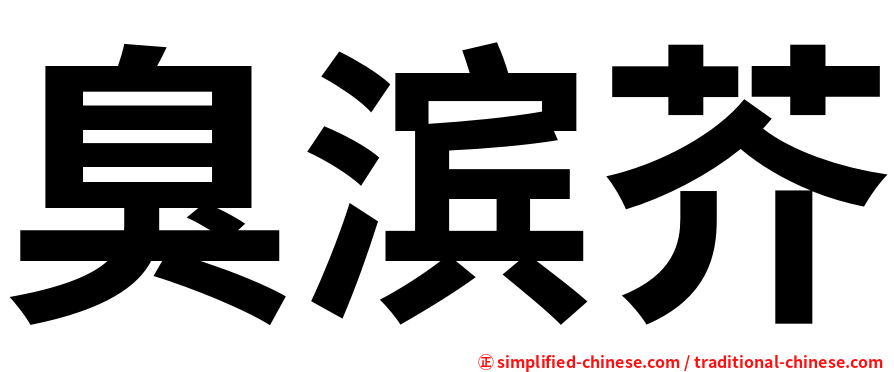 臭滨芥