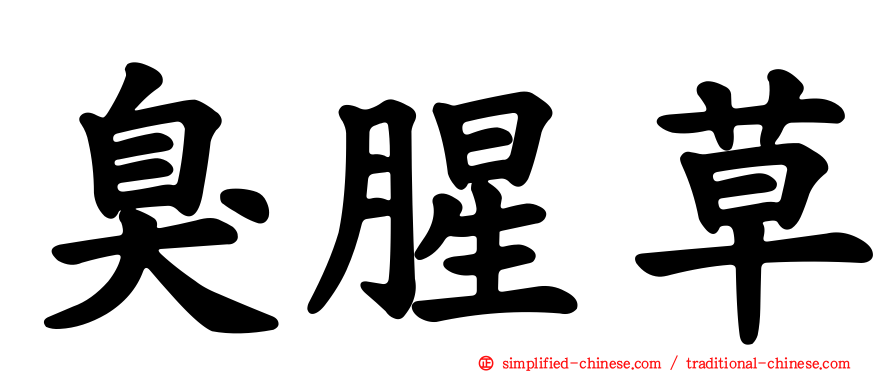臭腥草