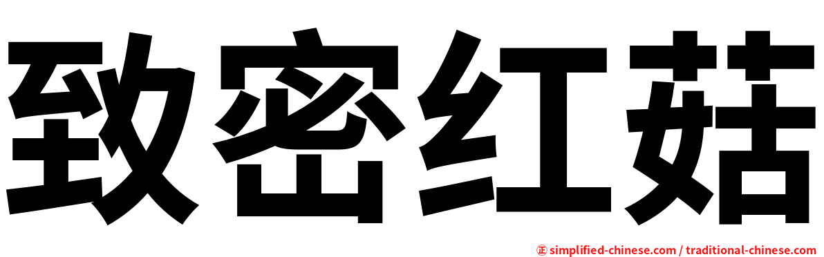 致密红菇