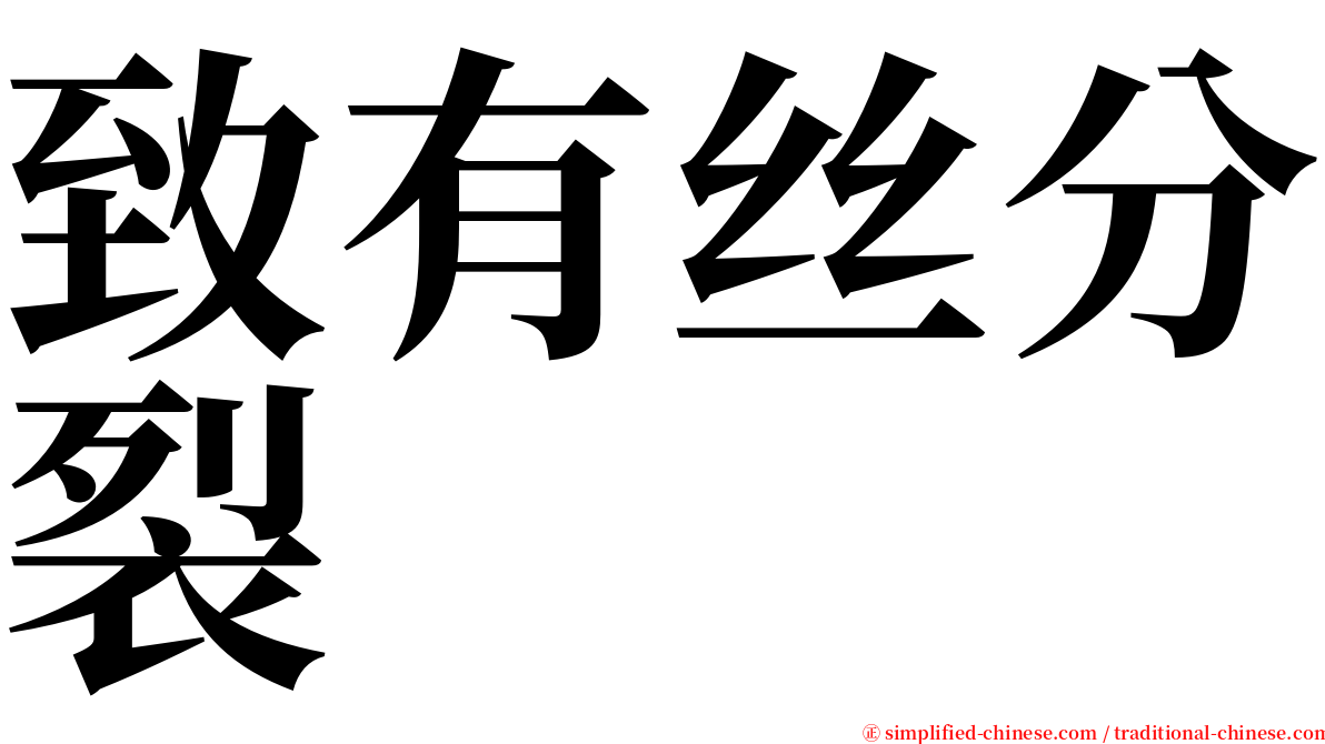 致有丝分裂 serif font