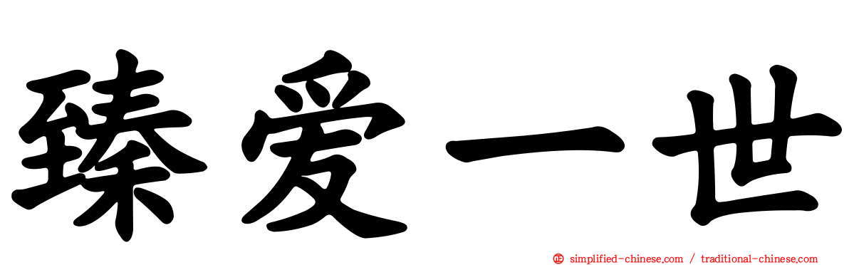 臻爱一世