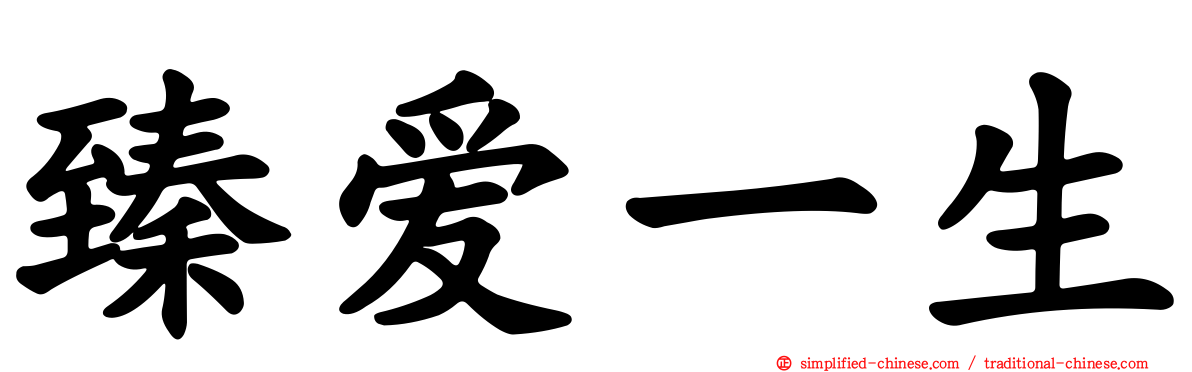臻爱一生