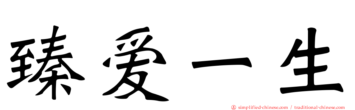 臻爱一生