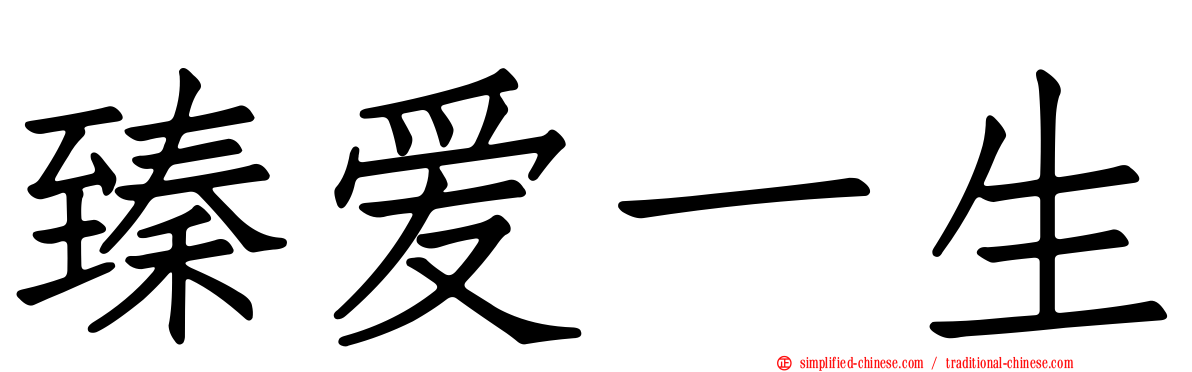 臻爱一生