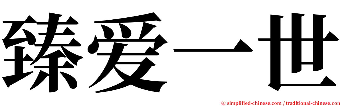 臻爱一世 serif font